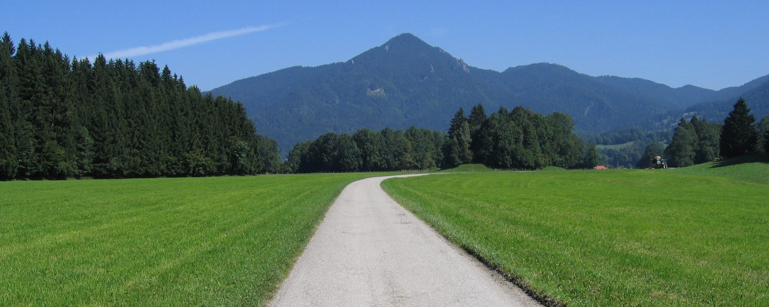 Zurück zur Startseite